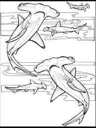 In schools, children are often asked to draw animals, birds and sea animals for a variety of purposes. Free Printable Ocean Coloring Pages Under The Sea