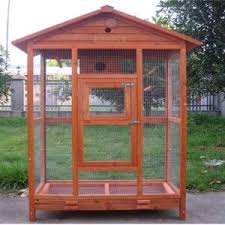 Malem para penghuni forum burung. Kelebihan Dan Kekurangan Kandang Aviary Solusiruma Com