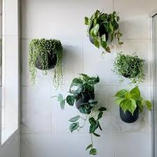 Shop for hanging planter at west elm. Ceramic Indoor Outdoor Wallscape Planters Plant Decor Indoor Hanging Plants Indoor Ivy Plant Indoor