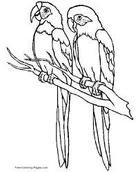Birds coloring pages for kids. Coloring Pages Of Birds
