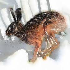 Brown Hare Run Limited Edition Fine Art Print From My Original Drawing The European Hare Also Known As The Brown Fine Art Drawing Fine Art Prints Fine Art