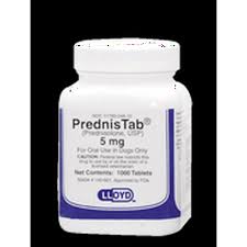 Image result for Prednisolone
