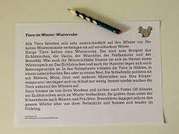 Klasse und sollen ihnen den eltern, lehrern und schülern das suchen im internet erleichtern. Tiere Im Winter Winter Ruhe Sachen