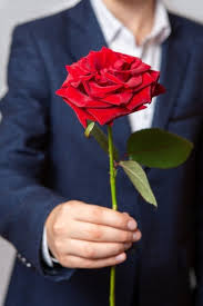 Profil Şəkilləri Yüklə 2025 — Ən Gözəl Maraqlı Şəkilləri 🌹
