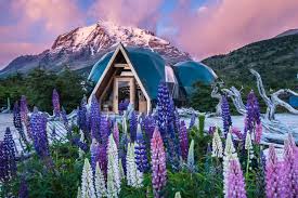 Torres del paine has a cold and humid temperate climate. Ecocamp Patagonia Bewertungen Fotos Preisvergleich Torres Del Paine National Park Chile Tripadvisor