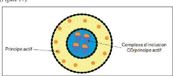 Ainsi, le principe du traitement cognitif est d'extraire de l'environnement des données transitoires stockées en mémoire de travail et. Preparation A Petite Et Grande Echelle Des Liposomes Encapsulant L Huile Essentielle De Clou De Girofle Libre Et Sous Forme De Complexe D Inclusion Dans L Hydroxypropyl B Cyclodextrine Caracterisation Des Nanostructures Et Evaluation De Leur