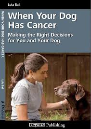 Signs of cancer in the intestines include unexplained weight loss, weakness, reduced appetite, persistent abdomen pain and blood in the stools. When Your Dog Has Cancer Home Facebook