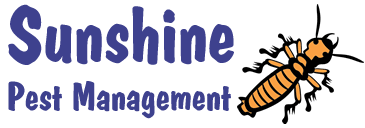 Whatever type of creepy crawly is plaguing your property, our experts at all max force pest management have the solution. Sunshine Coast Pest Control Sunshine Pest Management 20 Yrs Exp