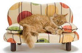 Home Decor Has Gone To The Dogs And Cats Cat Bed Pets Cat Couch