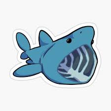 Basking Shark Gifts Merchandise Redbubble Sharks, shark, derpy, derpy sharks, cute, cute sharks, cartoon sharks, great white, hammerhead, reef shark, leopard shark, thresher shark, basking shark, whale shark. redbubble