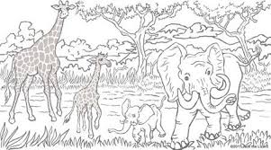 Animal Coloring Pages Jack The Lizard Wonder World Animal Coloring Pages Super Coloring Pages Elephant Coloring Page