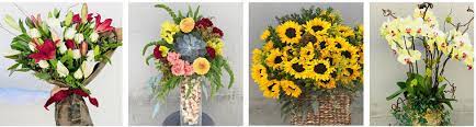 Maybe you would like to learn more about one of these? The 10 Best Options For Flower Delivery In Palo Alto 2021