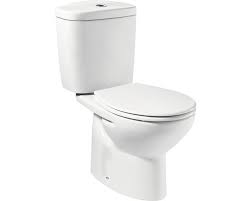 set vas wc roca victoria cu rezervor si capac wc evacuare orizontala pret mic la hornbach toilet victoria bathroom