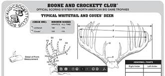 Antler Scoring 101 South Carolina Natural Resources