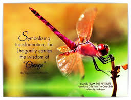 Symbolizing Transformation The Dragonfly Carries The Wisdom Of Change Dragonfly Quotes Dragonfly Meaning Dragonfly Symbolism