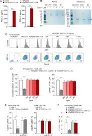 L1 distance in mathematics, used in taxicab geometry. Soluble Pd L1 Generated By Endogenous Retroelement Exaptation Is A Receptor Antagonist Elife