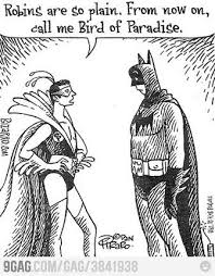 Robin Become Bird Of Paradise Bizarro Comic Funny Pictures Birds Of Paradise