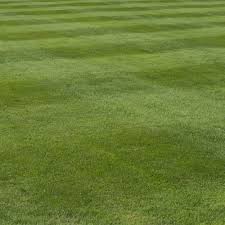 Montes landscaping, angus biebel handyman, mirzayev's tree service, llc, may bucket truck services, passamonte general contracting. Programs Perf A Lawn
