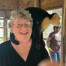 Do teachers prime boards before class with one coat of white paint?