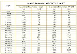 Surprising Average Baby Growth Chart Weight Average Fetal
