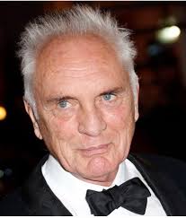 Sunset Blvd. Records added a new photo.