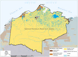 National Petroleum Reserve In Alaska Bureau Of Land Management