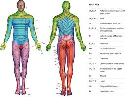 Pin On Health