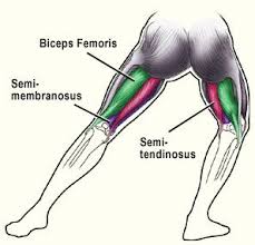 If you're looking to build strong glutes and hamstrings, this highly effective superset is exactly what you should focus your lower body workouts on. Benefits Of Having Strong Hamstrings Leg And Glute Workout Hamstrings Myofascial Release Massage