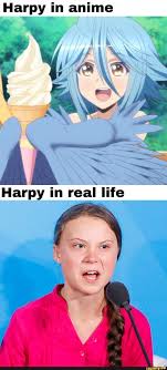 Pin On Funny Monster Musume Memes