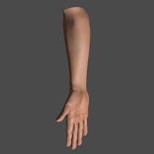 3d Hand Arm Male Pose Male Poses Poses Spring Outfits Men