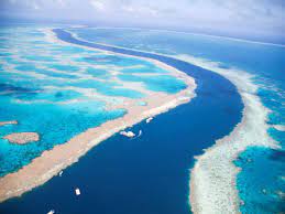 Although the great barrier reef formed along a continental shelf, and not around a volcanic island, darwin's principles apply. Coral Reef Taller Than The Eiffel Tower Discovered In The Great Barrier Reef Times Of India Travel