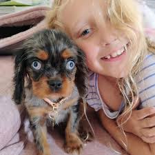 Becky Cavalier's Instagram, Twitter & Facebook