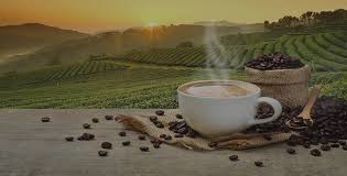 ··· so company decided to set up a manufacturing company in year 2010, which is sun city food industries sdn. Vending Machine Suppliers And Manufactures Company In Dubai Uae