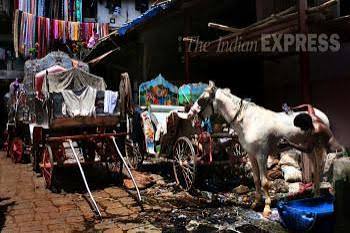 You won't see these horse-drawn carriages on Mumbai roads | Picture Gallery Others News - The Indian Express