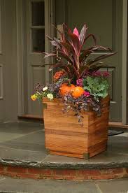 70 Herbstblumen Als Dekorative Blumenarrangements Blumenkubel Fur Den Herbst Herbstgarten Und Herbstblumen