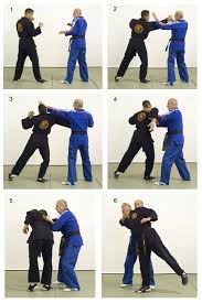 Pin By Anthony Munoz On Hapkido Self Defense Martial Arts Hapkido Martial Arts