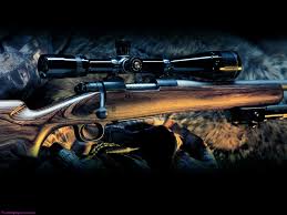 Looking for the best wallpapers? 45 Really Cool Gun Wallpapers On Wallpapersafari