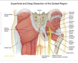 Maybe you would like to learn more about one of these? Massage Therapy For Lower Back Pain Therapy Technique At Gen Spa Gen Spa