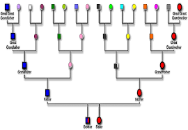 ethnicity finders dnaexplained genetic genealogy