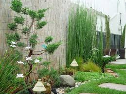 Comment Planter Des Bambous Dans Son Jardin Jardin Minimaliste Jardin Zen Amenagement Jardin