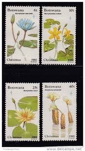 Image result for Ottelia kunenensis