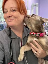 Oakview Animal Hospital