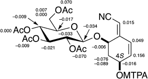 Image result for Campylospermum densiflorum