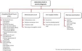 laboratory approach to anemia intechopen