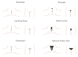 Category:Pubic hair styles - Wikimedia Commons