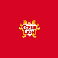 Coeur De Lion Camembert Tartine Galette De Quinoa