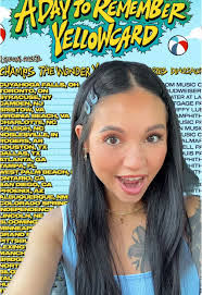 A Day to Remember Tour Experience with Pop Punk Bands