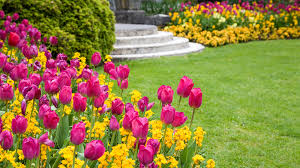Feb 15, 2017 · in this article, i will go through some basic mirror feng shui tips and rules as they relate to each room and area in your house. 7 Outdoor Focal Points Where Feng Shui Can Boost Your Curb Appeal
