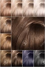 Color Chart For Tints Hair Color Palette With A Wide Range Of