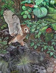 John D Dawson Hawaii Volcanoes National Park Hawaii Volcanoes National Park Volcano National Park Animal Art